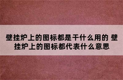 壁挂炉上的图标都是干什么用的 壁挂炉上的图标都代表什么意思